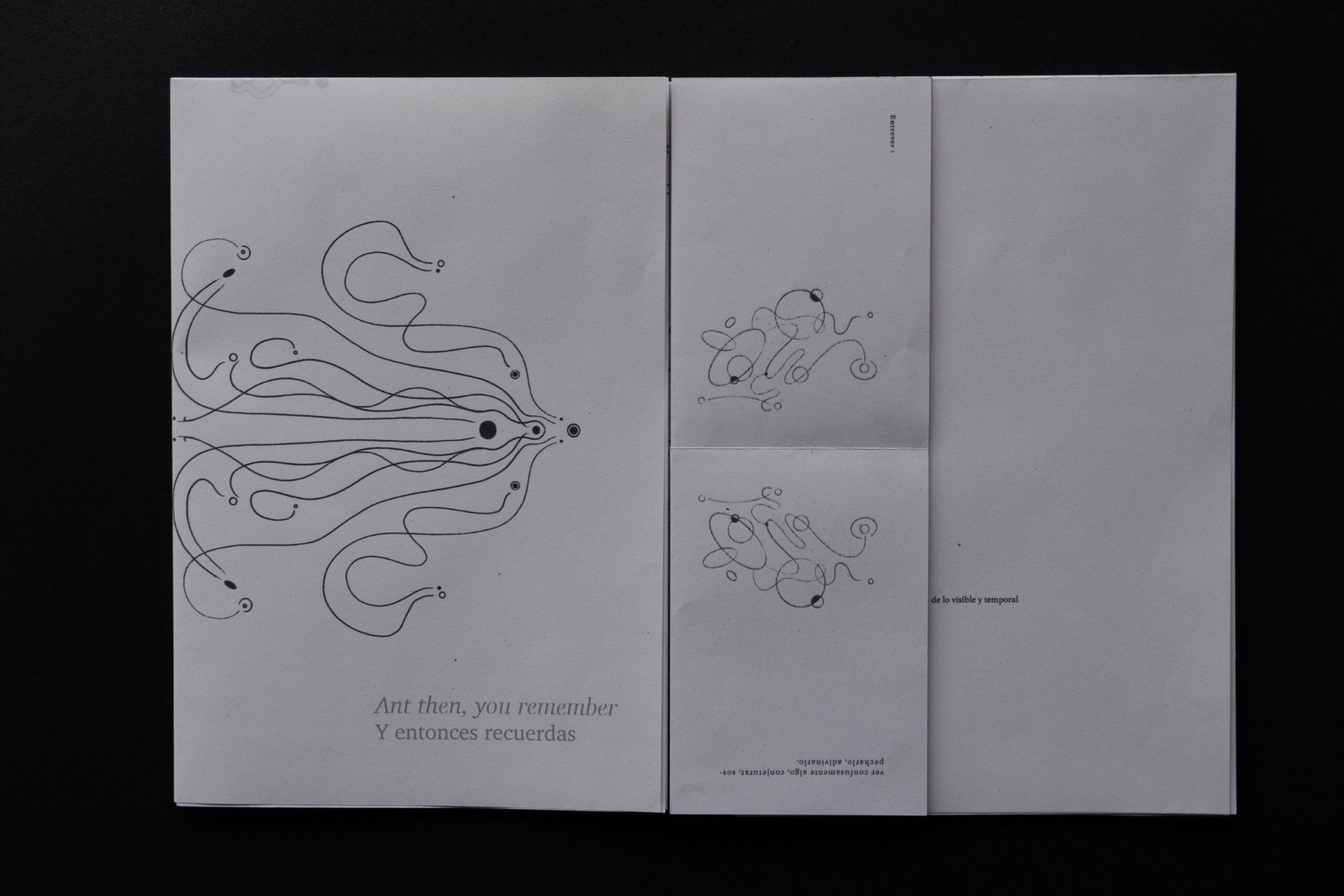 Libro5