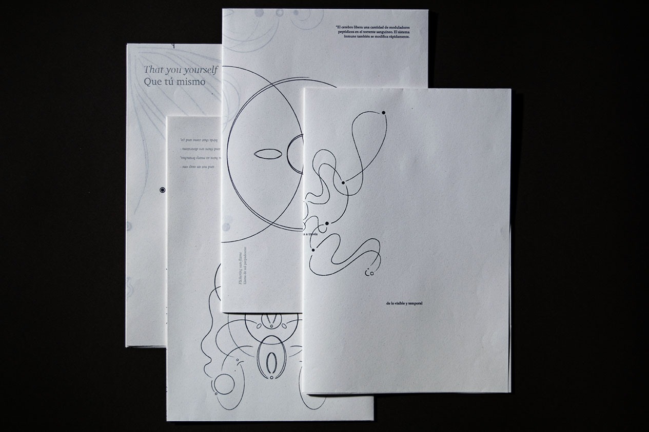 Vista cenital 4 tomos libro Entrever