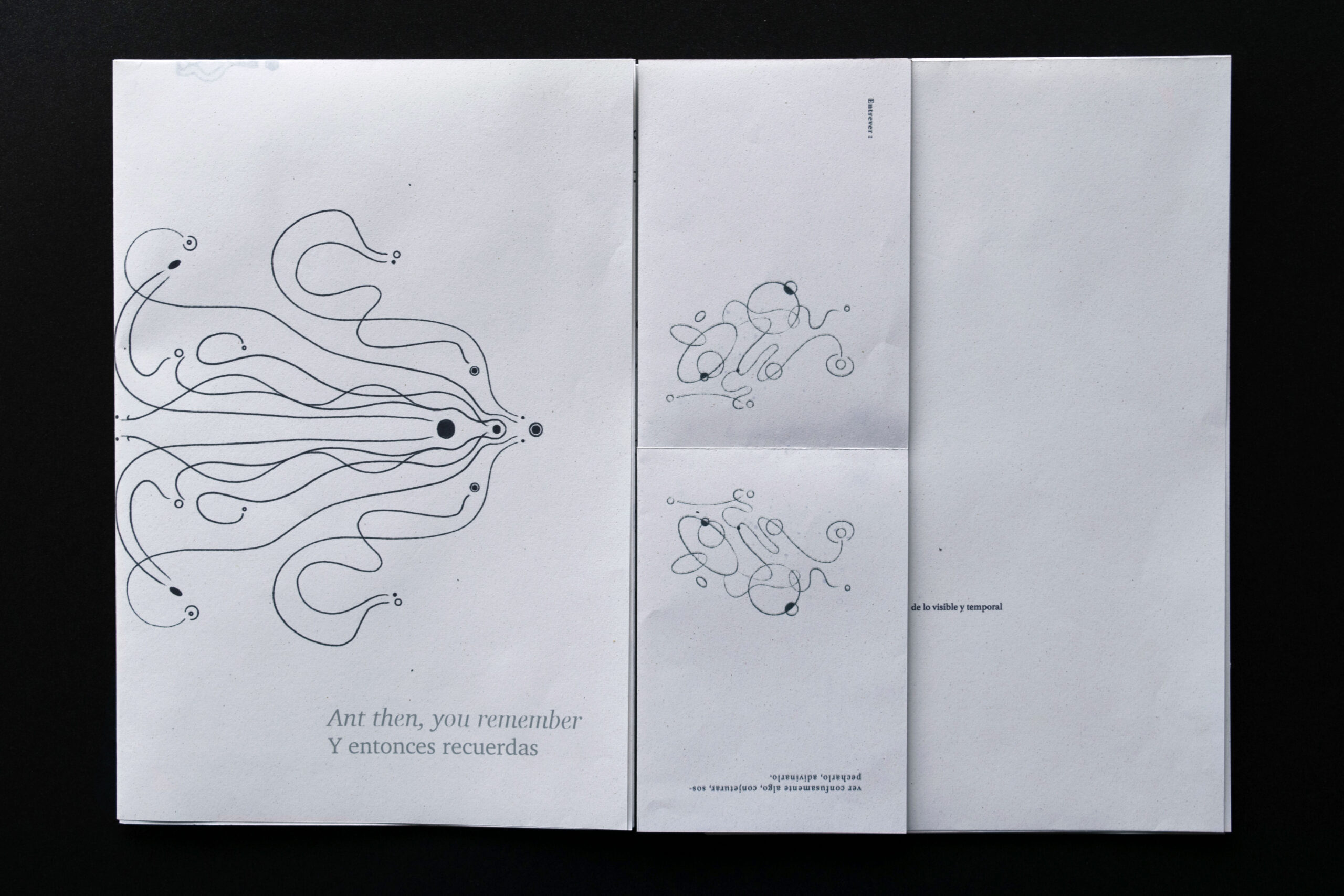 Ilustraciones y frases libro Entrever