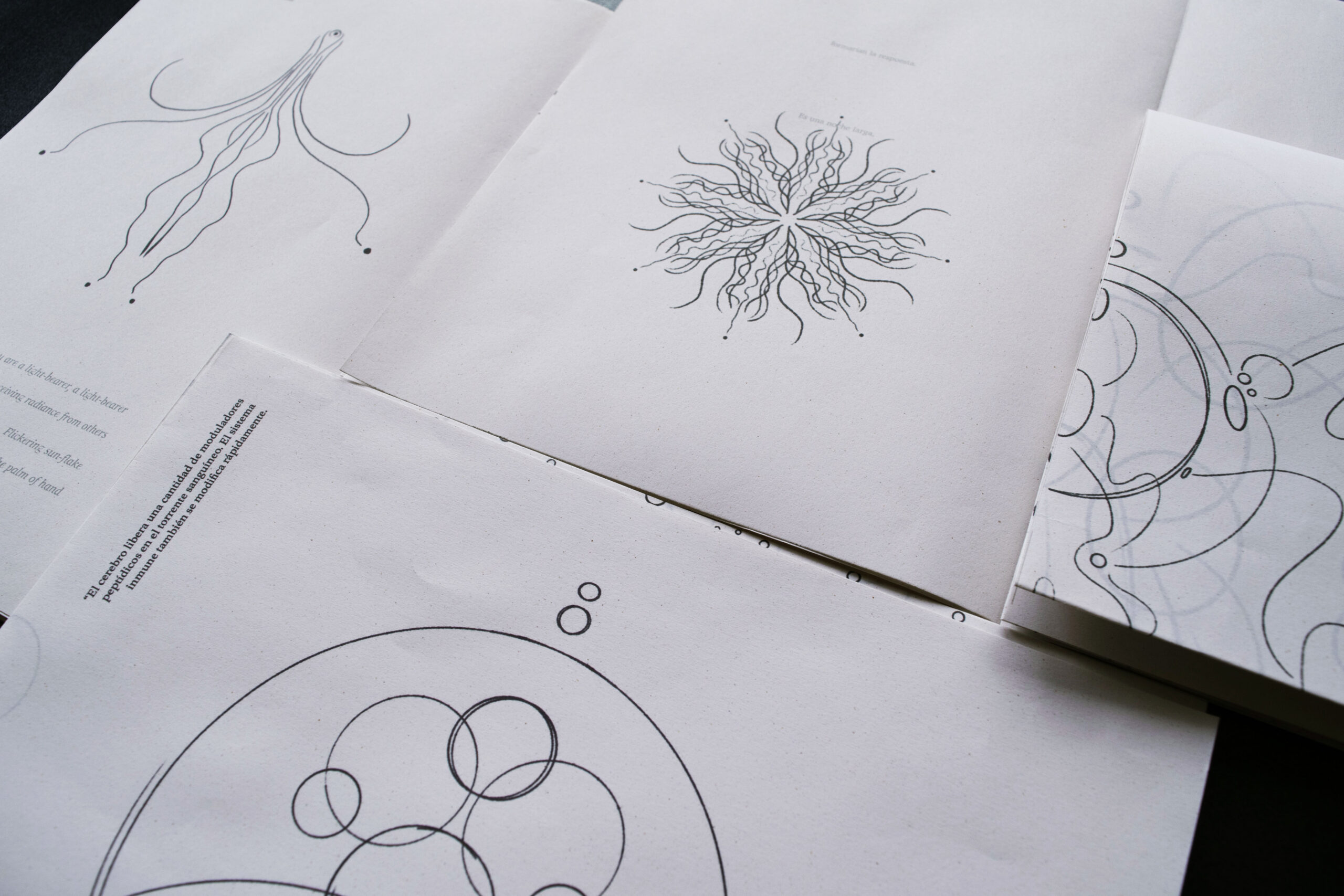 Acercamiento al trabajo de ilustración libro Entrever